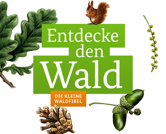 APP: Entdecke den Wald