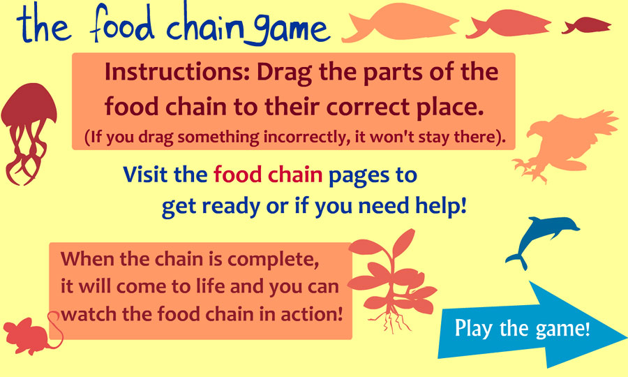 The Food Chain Game