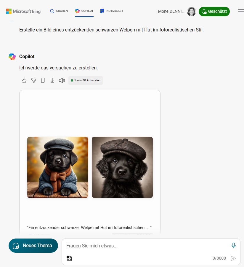 Screenshot von Copilot