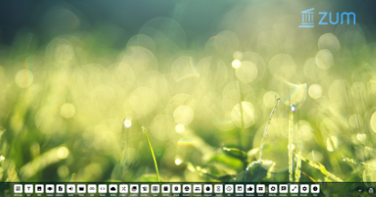 Digiscreen